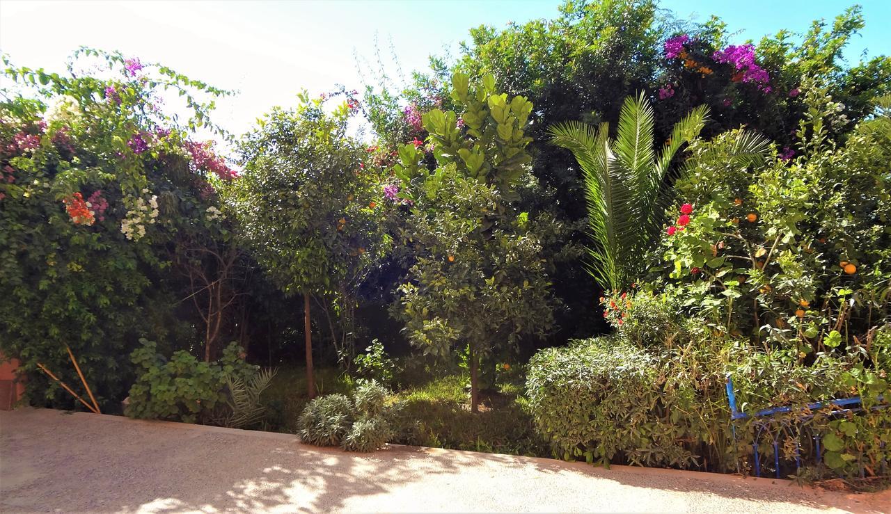Surf & Yoga Paradise Morocco Hostel Tamraght Ou Fella Zewnętrze zdjęcie