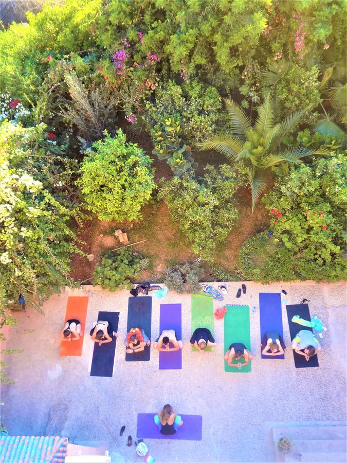 Surf & Yoga Paradise Morocco Hostel Tamraght Ou Fella Zewnętrze zdjęcie