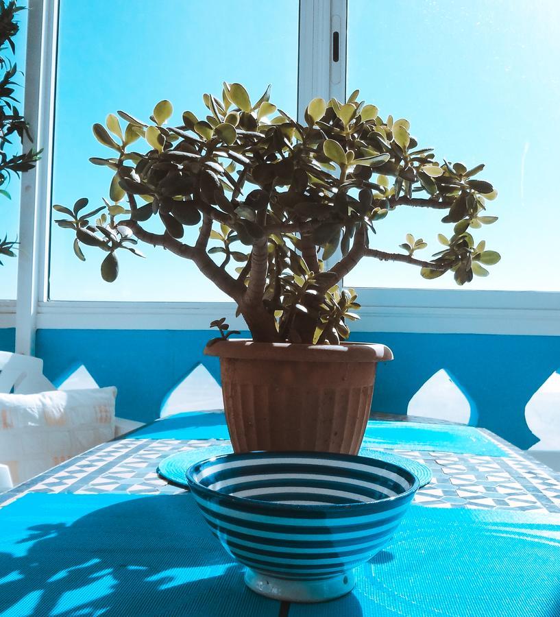 Surf & Yoga Paradise Morocco Hostel Tamraght Ou Fella Zewnętrze zdjęcie
