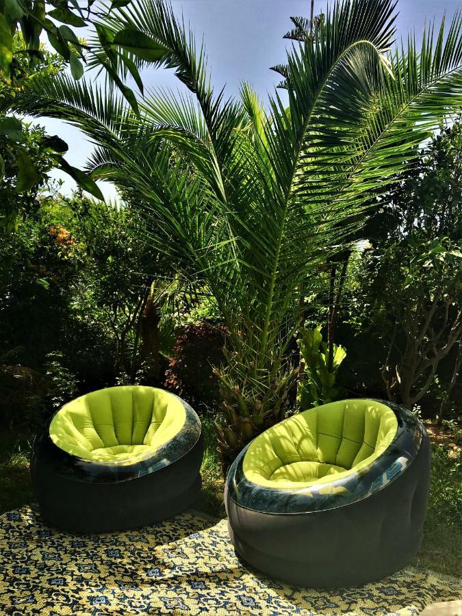 Surf & Yoga Paradise Morocco Hostel Tamraght Ou Fella Zewnętrze zdjęcie