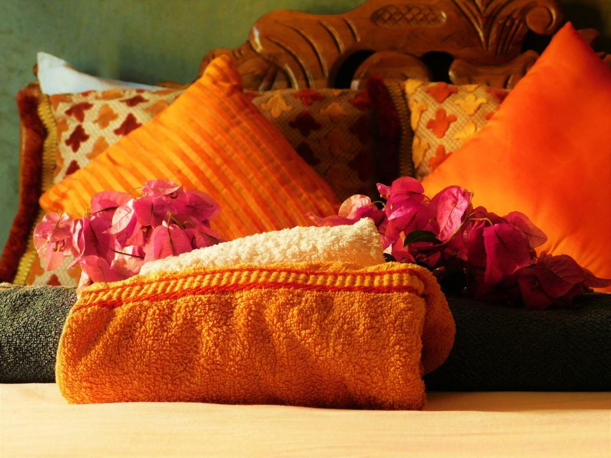 Surf & Yoga Paradise Morocco Hostel Tamraght Ou Fella Zewnętrze zdjęcie