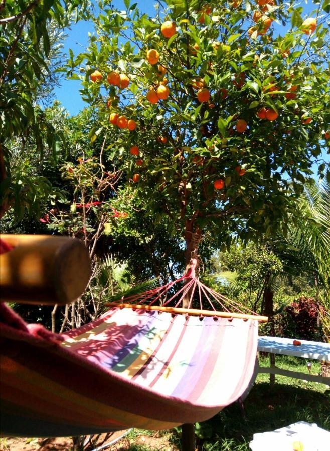 Surf & Yoga Paradise Morocco Hostel Tamraght Ou Fella Zewnętrze zdjęcie