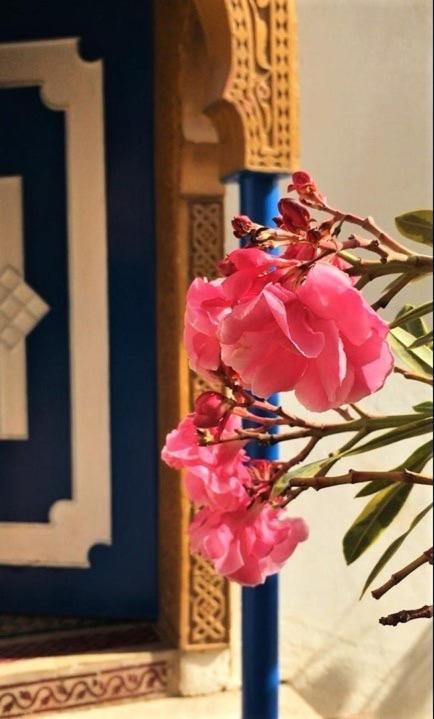 Surf & Yoga Paradise Morocco Hostel Tamraght Ou Fella Zewnętrze zdjęcie